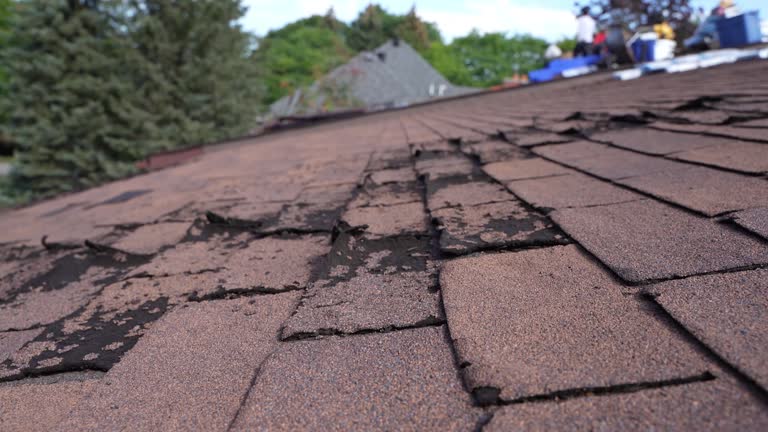 Best Roof Leak Repair  in Mililani Mauka, HI