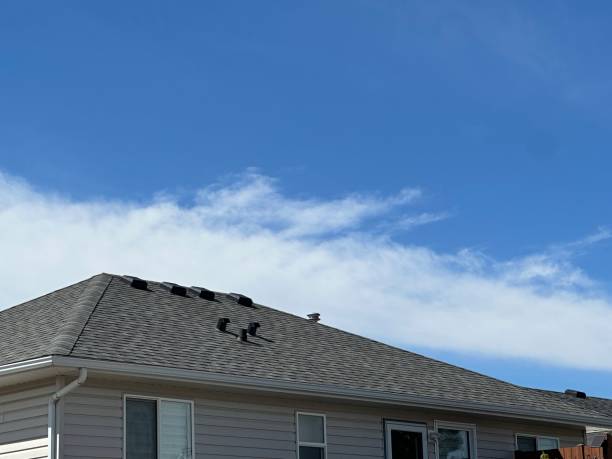 Best Roof Moss and Algae Removal  in Mililani Mauka, HI